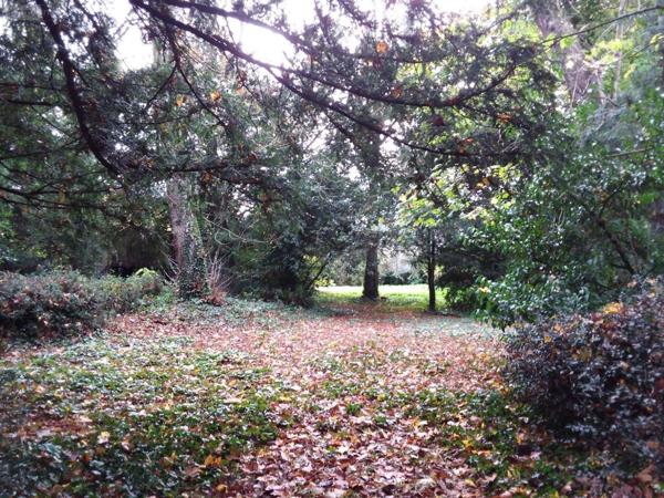 Maison de maître à vendre à Cour-Cheverny dans le Loir-et-Cher (41700), ref : AN 8855