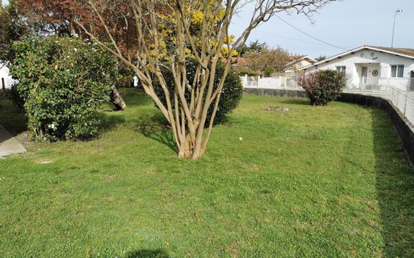 Maison à vendre    3 pièces •  Gujan-Mestras