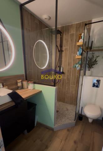 Appartement Meublé- Loft - St Nicolas de Port