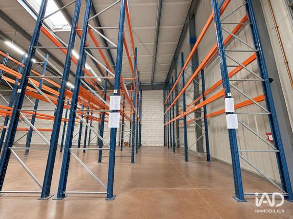 Location bureaux 157 m² Fèves