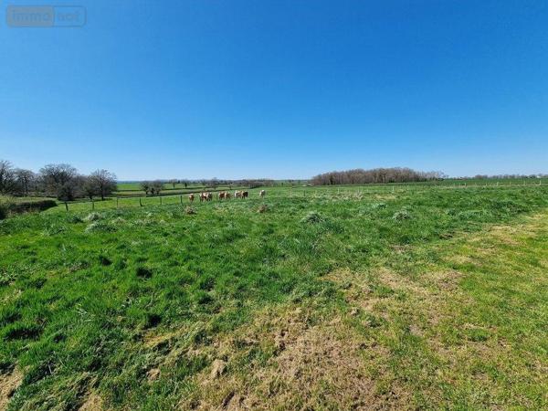 Maison à vendre à Marcigny en Saône-et-Loire (71110), ref : 20317