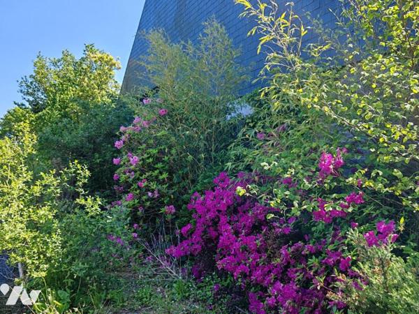 2414 - ANCIEN HOTEL-RESTAURANT A RENOVER SUR UN TERRAIN ARBORE DE 91A65CA