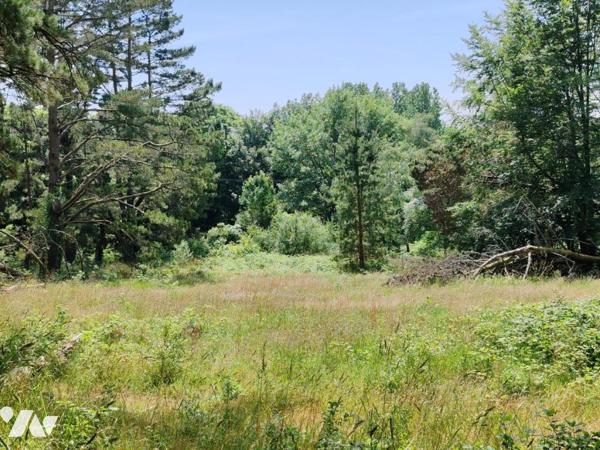 2414 - ANCIEN HOTEL-RESTAURANT A RENOVER SUR UN TERRAIN ARBORE DE 91A65CA
