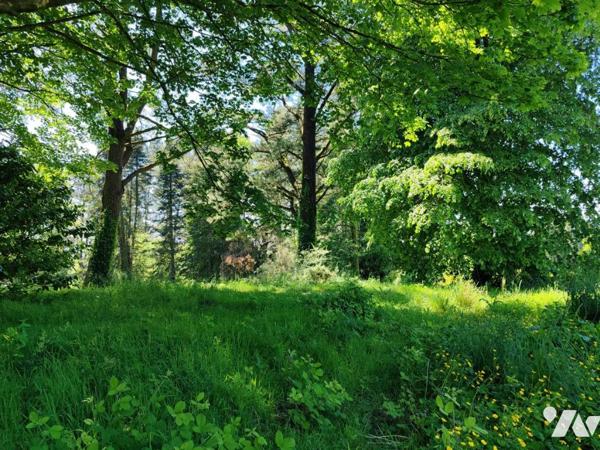 2414 - ANCIEN HOTEL-RESTAURANT A RENOVER SUR UN TERRAIN ARBORE DE 91A65CA