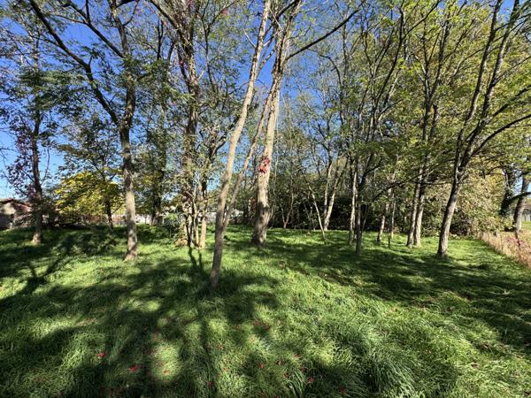 Saint-Yzan-de-Soudiac (33920) Terrain constructible de 854m2