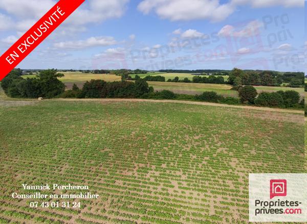 terrain agricole de 5 hectares avec hangar  libre à partir du 1er novembre 2026