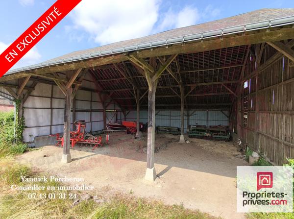 terrain agricole de 5 hectares avec hangar  libre à partir du 1er novembre 2026