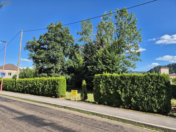 Terrain à Batir à vendre à Ramonchamp dans les Vosges (88160), ref : 1203/0825-88038