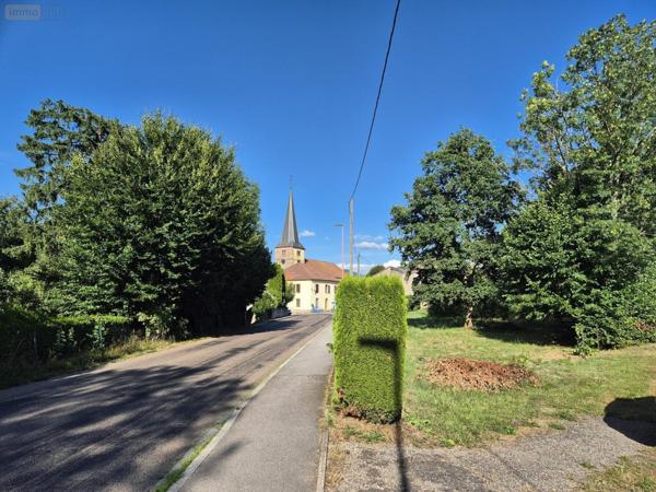 Terrain à Batir à vendre à Ramonchamp dans les Vosges (88160), ref : 1203/0825-88038