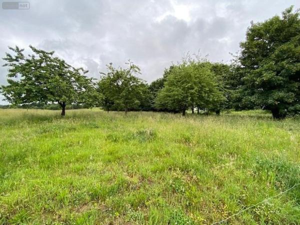 Maison à vendre à Louvigné-du-Désert en Ille-et-Vilaine (35420), ref : 135/1047