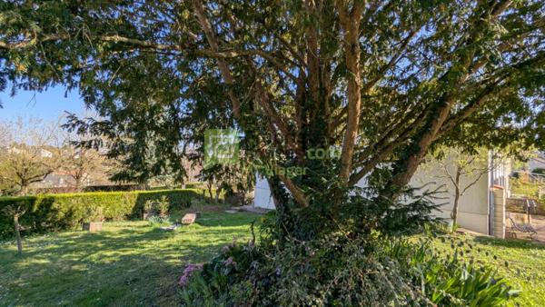 Maison en viager occupé.Langeais 37