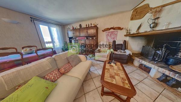 Maison en viager occupé.Langeais 37