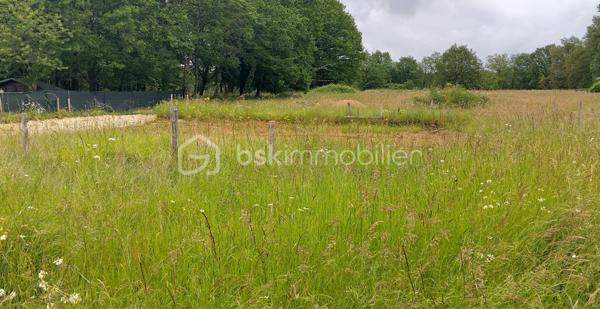 Terrain de 3 500 m²