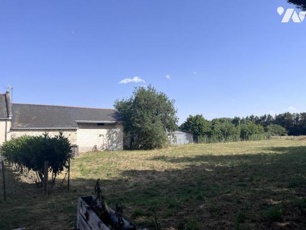 Les Rosiers sur Loire , Fort potentiel : réhabilitation + terrain constructible 
