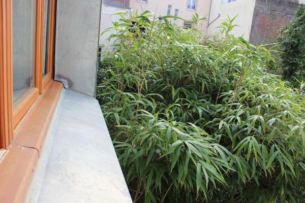 Un appartement traversant de type 3 a louer à Quimper centre