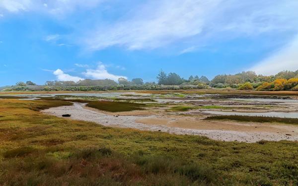 Maison à vendre    5 pièces •  Saint-Philibert