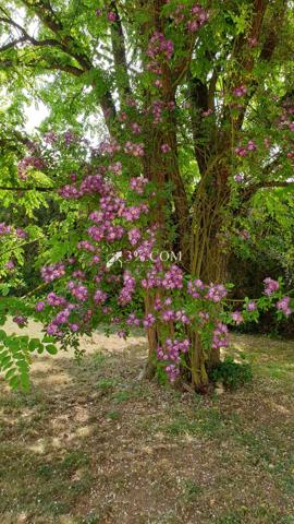 3%.COM VILLA DE 159 M2 SUR PARCELLE DE 3258 M2 Saint-Georges-lès-Baillargeaux (86130)