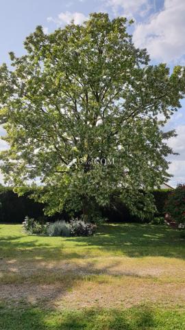 3%.COM VILLA DE 159 M2 SUR PARCELLE DE 3258 M2 Saint-Georges-lès-Baillargeaux (86130)