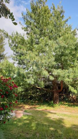 3%.COM VILLA DE 159 M2 SUR PARCELLE DE 3258 M2 Saint-Georges-lès-Baillargeaux (86130)