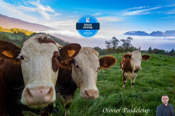 Bâtiment agricole à vendre à ANTULLY (71)
