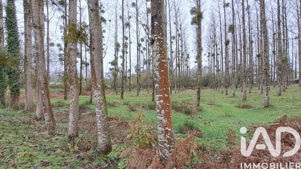 Terrain à vendre 13 447 m² Le Mené