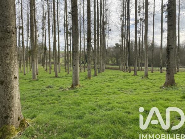 Terrain à vendre 13 447 m² Le Mené