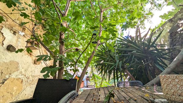 Maison de ville  T5 avec  jardin. calme et serenité !