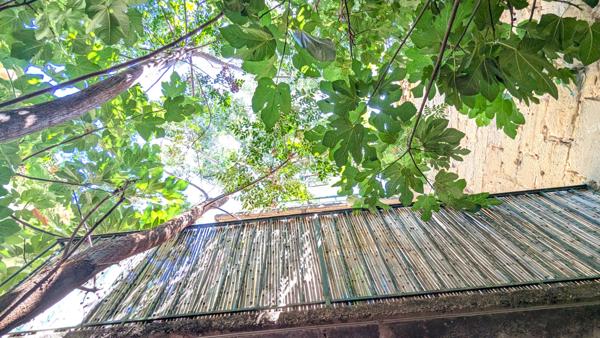 Maison de ville  T5 avec  jardin. calme et serenité !