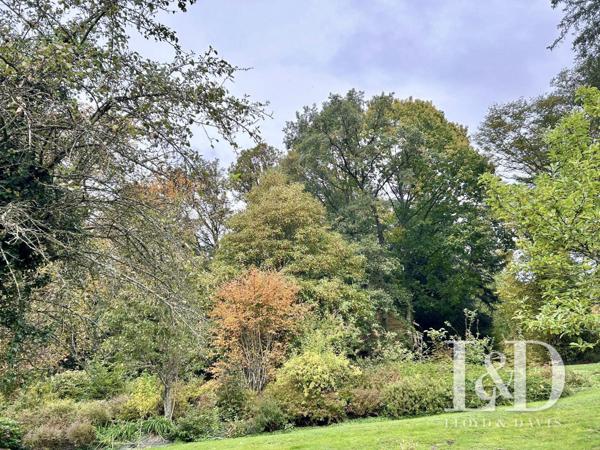 Cirey sur Vezouze -Offrez-vous le charme de l’ancien et le confort d’aujourd’hui