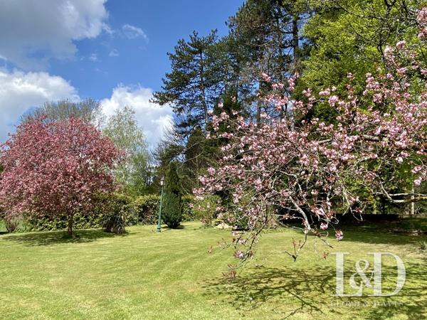Cirey sur Vezouze -Offrez-vous le charme de l’ancien et le confort d’aujourd’hui