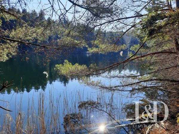 Cirey sur Vezouze -Offrez-vous le charme de l’ancien et le confort d’aujourd’hui