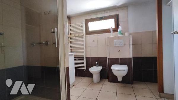 Maison avec grand jardin