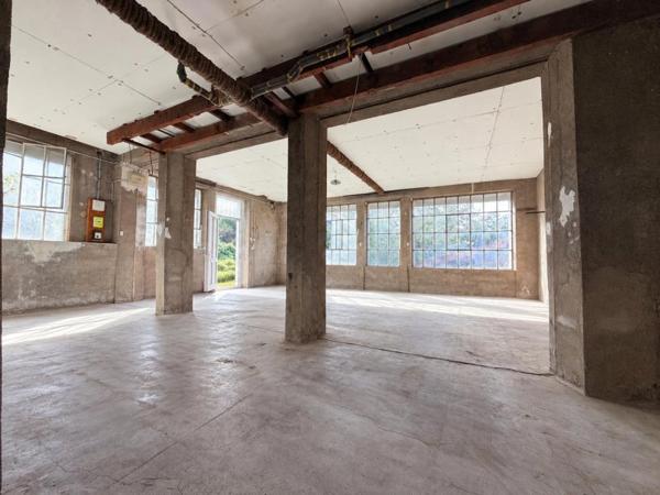 Vente / Maison à Thiers (63300)