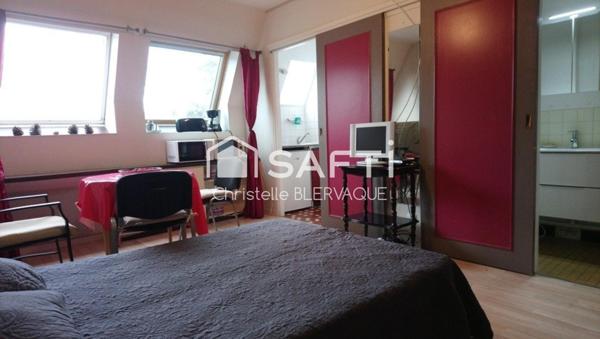 Studio 23 M2 Centre de la Roche Posay