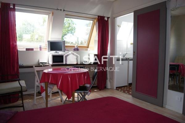 Studio 23 M2 Centre de la Roche Posay