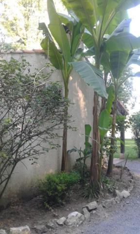 Maison de charme au bord du Tarn