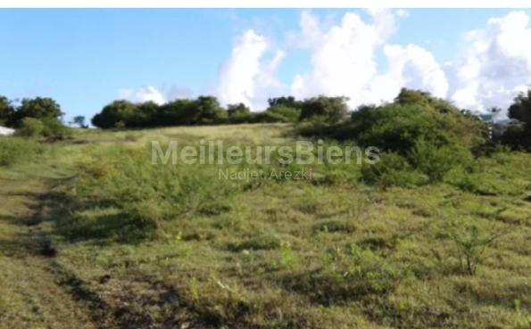Terrain constructible à vendre à Sainte-Anne (97180) – Vue dégagée et proximité plage