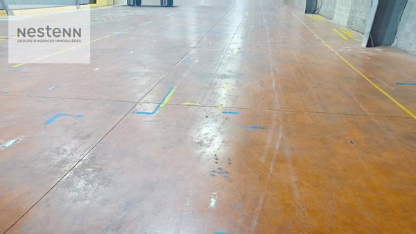 Local d'activité  ( Hangar ) en excellent état Calais 1 000 m2 avec une hauteur de 11 mètres