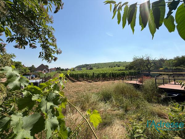 Terrain Bennwihr 423 m2