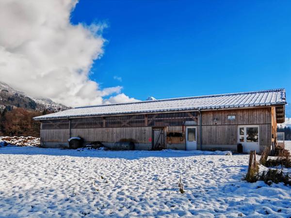 À VENDRE Bâtiment agricole + 2.96 ha de terrain