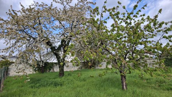 Terrain contructible de 640 m2
