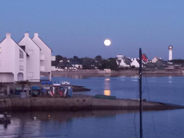 Maison individuelle sur terrain clos