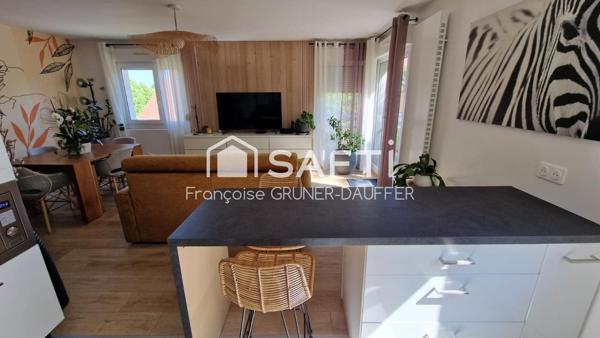 BEL APPARTEMENT T2 50² A VILLERS LES NANCY