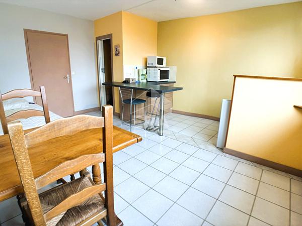 Studio à vendre - BLOIS - VENDU LIBRE, RENOVE, PARKING PRIVE, 5 MIN A PIED DU CENTRE-VILLE,