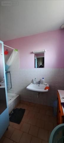 Maison à vendre à Vicq-sur-Nahon dans l'Indre (36600), ref : 021/1480