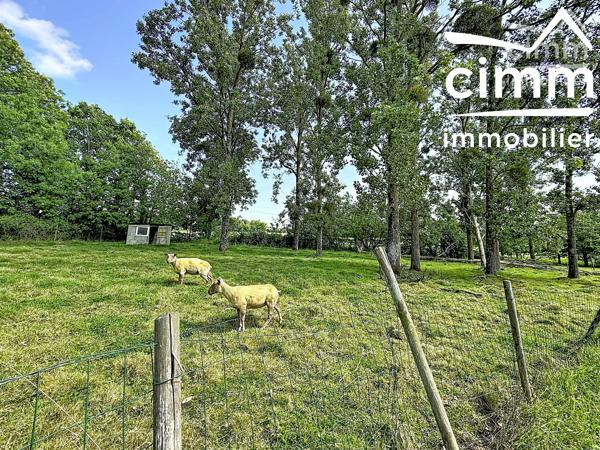 NOUVEAUTE ET EXCLUSIVITE CIMM IMMOBILIER