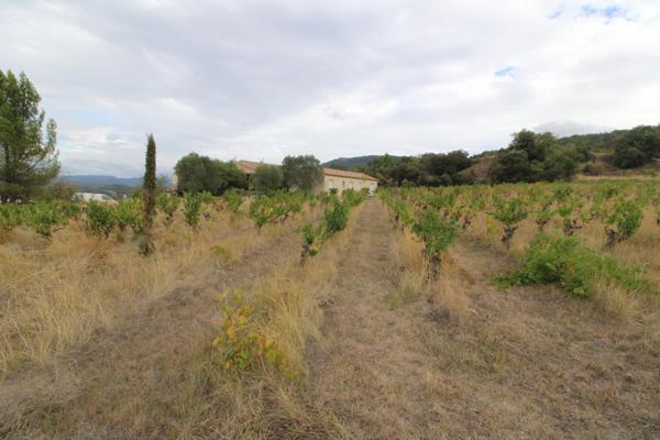 3 km de Limoux - Propriété avec appartement, dépendances et vigne