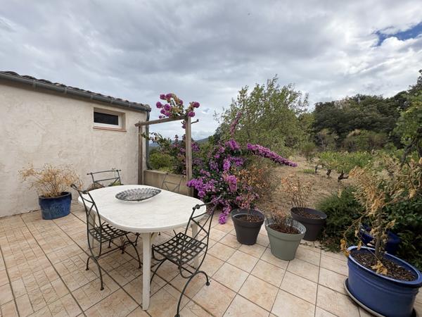 3 km de Limoux - Propriété avec appartement, dépendances et vigne