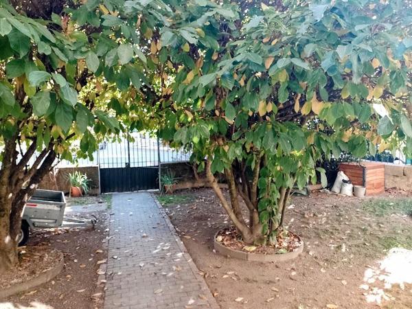 Vente / Appartement T2