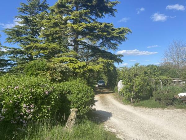 Maison charentaise Cozes 275 m²